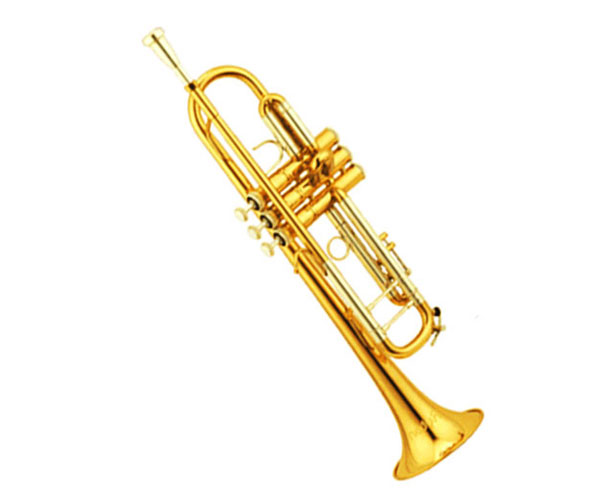 瑞頓653瑞頓805小號(hào)